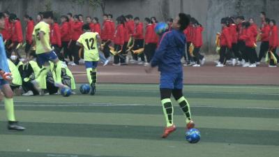 视频︱县教育局：“五育”齐驱动  推进教育强县