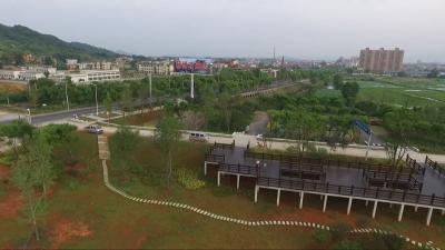 视频︱蕲州镇：推进“五镇”建设  勇当高质量发展先锋