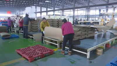 视频︱蕲春组织收看全市“开门红”复工复产工作视频调度会