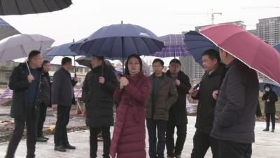 视频︱陈丹调研拟拆迁地块和自然资源工作