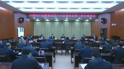 视频︱胡安元主持召开中国共产党蕲春县第十六届委员第三次全体会议