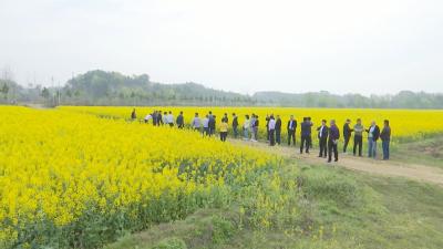 视频︱县农业农村局：田间地头找服务短板 助力乡村振兴