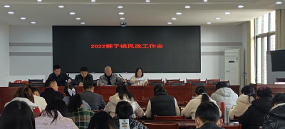 狮子镇：提升基层民政服务能力