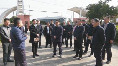 视频︱胡安元率蕲春党政考察团到黄石市黄石港区开展区域协作对接交流