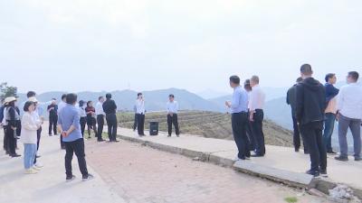视频︱县委组织部乡村振兴一线开展支部主题党日活动