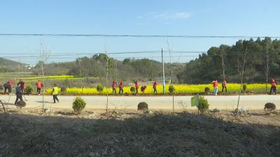 视频︱春光无限好 植树添新绿