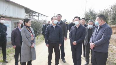 视频︱潘国林来蕲开展策湖巡湖调研督导