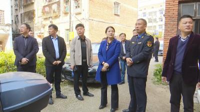 视频︱陈丹在漕河城区专题调研城市品质提升工作