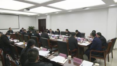 视频︱​陈丹：着力破解瓶颈制约 为项目顺利开工创造良好条件