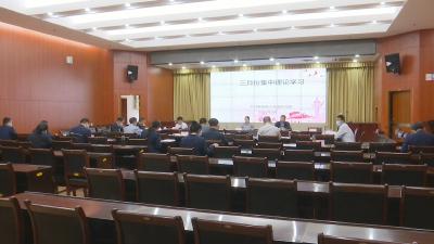 视频︱县政府党组理论学习中心组集中学习