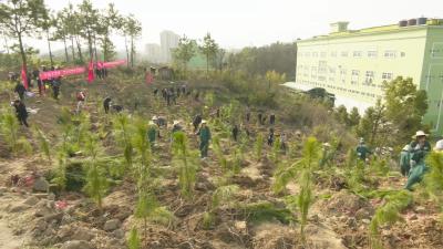 视频︱添绿增彩 各地各部门开展义务植树活动