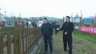 视频︱金鑫来蕲调研