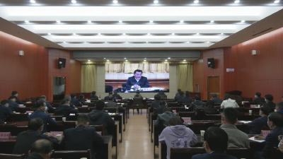 视频︱陈丹在蕲春分会场参加全市市场主体培育工作推进视频会