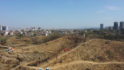 视频︱胡安元 陈丹等县领导参加义务植树活动