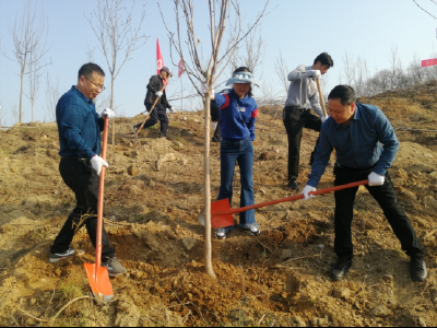 图文︱县审计局参加义务植树活动