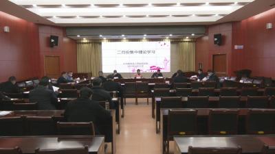 视频︱县政府党组理论学习中心组集中学习