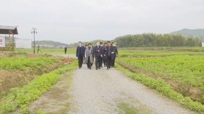 视频︱潘国林来蕲调研大健康产业发展