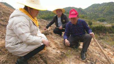 视频︱刘河镇方铺村：发展特色种植 带富一方百姓