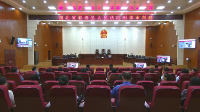 视频︱蕲春法院公开宣判拐卖儿童案 何某华获刑十年
