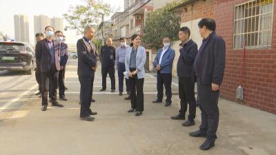 视频︱陈丹：以高品质城市建设推动蕲春高质量发展