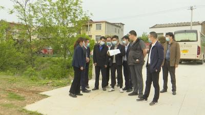 视频︱桂勇军调研乡村振兴示范片项目建设