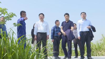 视频︱蔡寿益调研特色淡水产品养殖情况