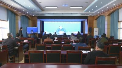 视频︱蕲春收看收听全市疫情防控工作视频调度会