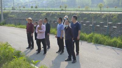 视频︱县自然资源和规划局：筑牢治理监测网 预防地质灾害