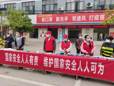 檀林镇开展“国家安全教育日”宣传活动