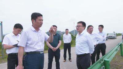 视频︱胡安元 陈丹检查督导防汛备汛工作