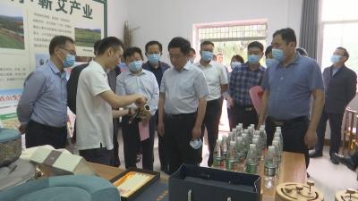 视频︱县人大常委会专题调研蕲艾市场规范建设和品牌建设