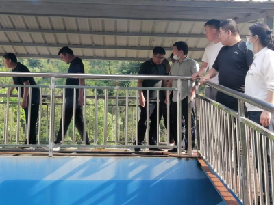 张塝水利站邀请人大代表监督水利工作