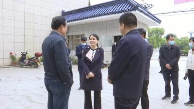 视频︱陈丹到蕲州镇调研