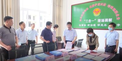 视频︱黄强胤来蕲春调研“代表行动”开展情况