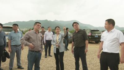 视频︱陈丹调研蕲太高速蕲春东段项目开工筹备情况