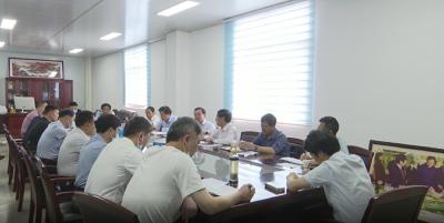 视频︱陈青调研李时珍国灸集团搬迁工作