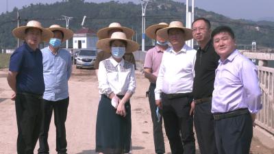 视频︱陈丹：抓紧抓实防汛备汛各项工作 确保人民群众生命财产安全