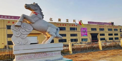 刘河镇：打造蕲艾特色产业链　带动3万人链上起舞
