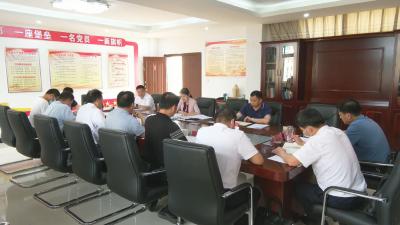 视频︱陈丹：从早从严从实做好汛前准备工作 确保安全度汛