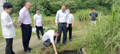 福建天马集团到狮子镇考察生态养殖项目