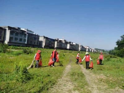 向桥乡：践行志愿服务精神 建设新时代文明单位