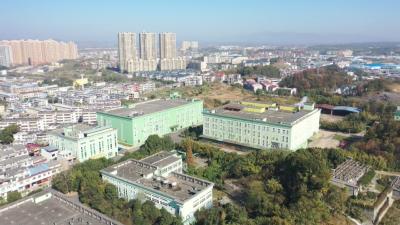 视频︱优化营商环境“一把手”公开承诺—县财政局