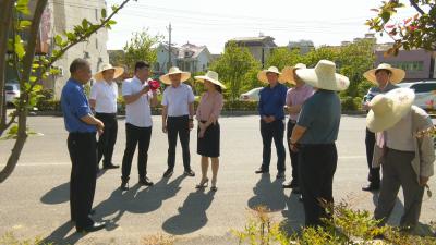 视频︱陈丹调研城市管理工作