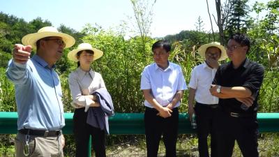 视频︱县交通运输局推进全国“四好农村路”示范县创建
