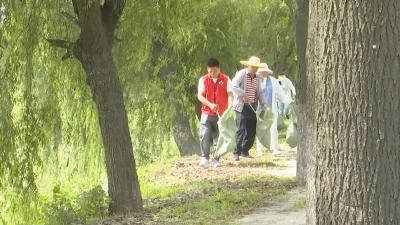 视频︱八里湖办事处：全民参与 共建美好家园