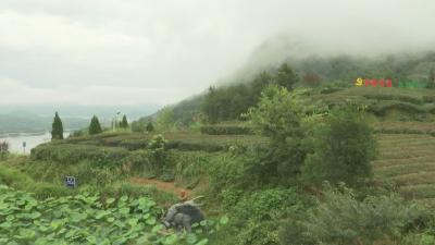 视频︱李山生态旅游区迎接4A级旅游景区验收评定