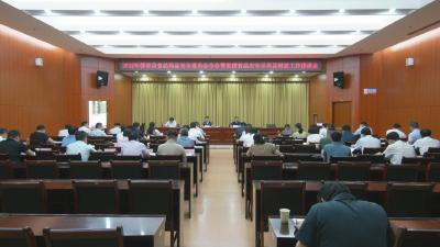 视频︱陈丹强调：筑牢食品药品安全每一道防线   切实保障人民群众身体健康和生命安全