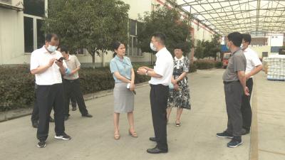视频︱陈丹强调：深入基层 企业 项目实打实解决问题 促进经济平稳健康发展
