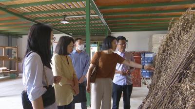 视频︱武汉生物技术研究院来蕲调研生物医药产业发展