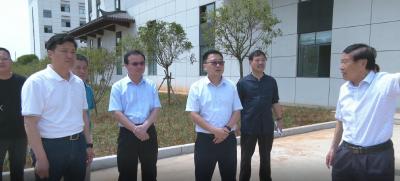 视频︱胡安元到园区调研重点项目建设